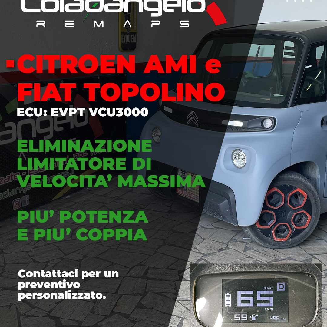 news ami e topolino